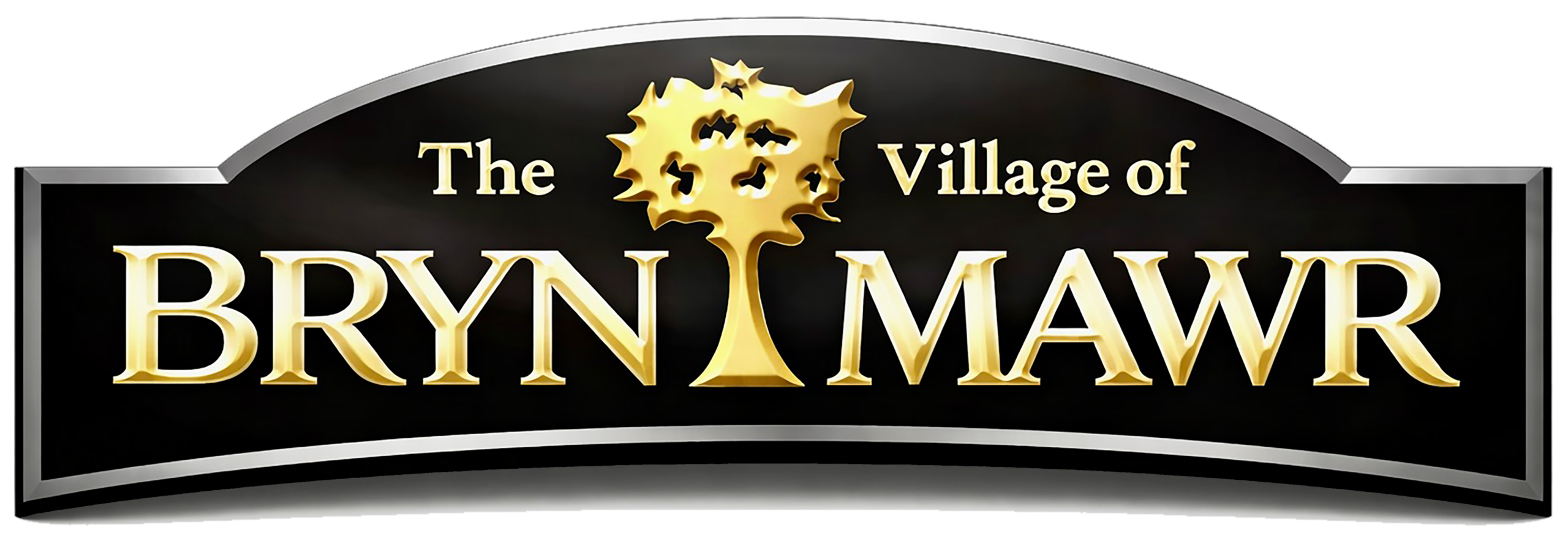 Village of Bryn Mawr